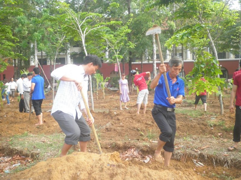 Một số hình ảnh trong ngày hội trồng cây DNTU