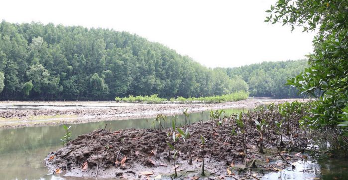 Sinh viên tham gia các trò chơi tại khu du lịch