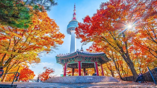 02. LÀM QUEN VỚI ĐẠI HỌC CHOSUN