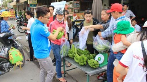 Ngày đầu tiên “chiến dịch cứu chuối già hương”