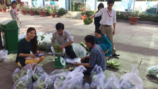 Nhìn lại chiến dịch “giải cứu chuối già Hương”